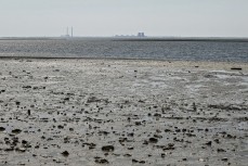 Пересохшее Каховское водохранилище