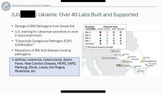 США заявили о раскрытии данных о финансировании биологических лабораторий в более чем 30 странах