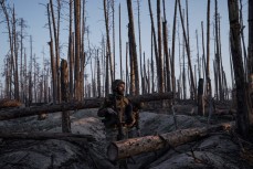 Украинский солдат на фоне перебитых деревьев