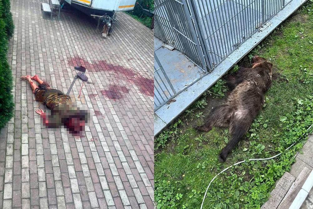 Кадры не для слабонервных: сбежавший медведь убил женщину, которая держала его в клетке на даче под Петербургом