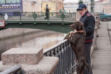 Инициатива Беглова о «собаках» напомнила политологу запрет Смольного «ходить голым в метро»
