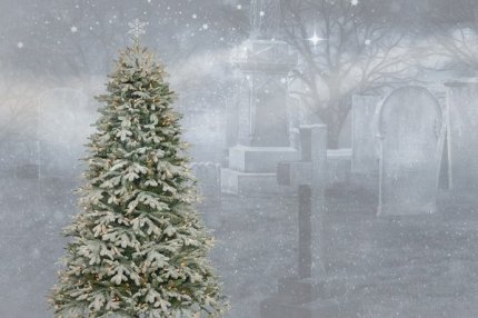 Ель для Нового года с кладбища