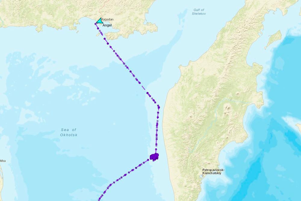 Карта движения траулера "Ангел", который спас 46-летнего Михаила Пичугина