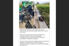 Формальное отношение - петербуржцы о выброшенных после Дня Победы цветах на Пискаревском кладбище