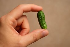 Микропенис, макроклиторальность и другие редкие особенности тела