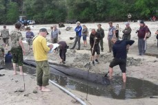 Тысячелетняя дубовая лодка обнаружена на дне обмелевшего Днепра