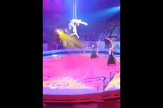 Гимнастка сорвалась с высоты во время выступления в омском цирке
