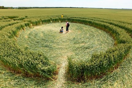 Круги на пшеничных полях 45-й параллели