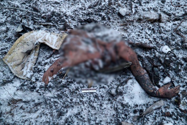 Шокирующие кадры с места крушения Ил-76 с останками украинских пленных появились в сети