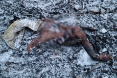 Шокирующие кадры с места крушения Ил-76 с останками украинских пленных появились в сети