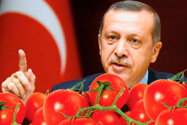 Эрдоган останется со своими помидорами, если отправит корабль за нацистами из "Азовстали"
