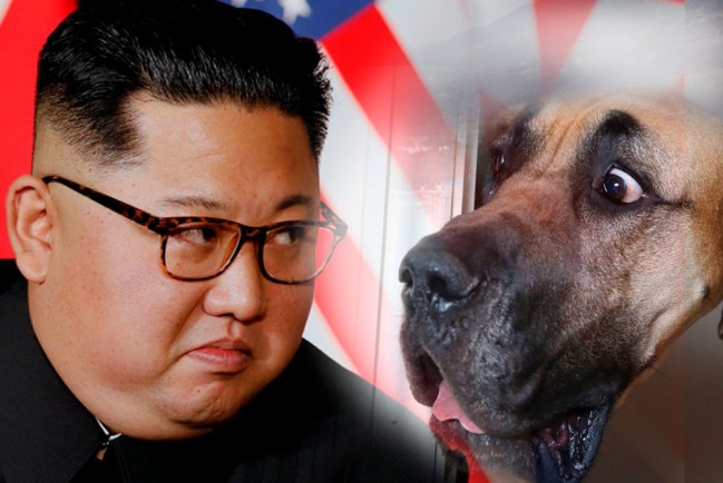 Ким Чен Ын и собака