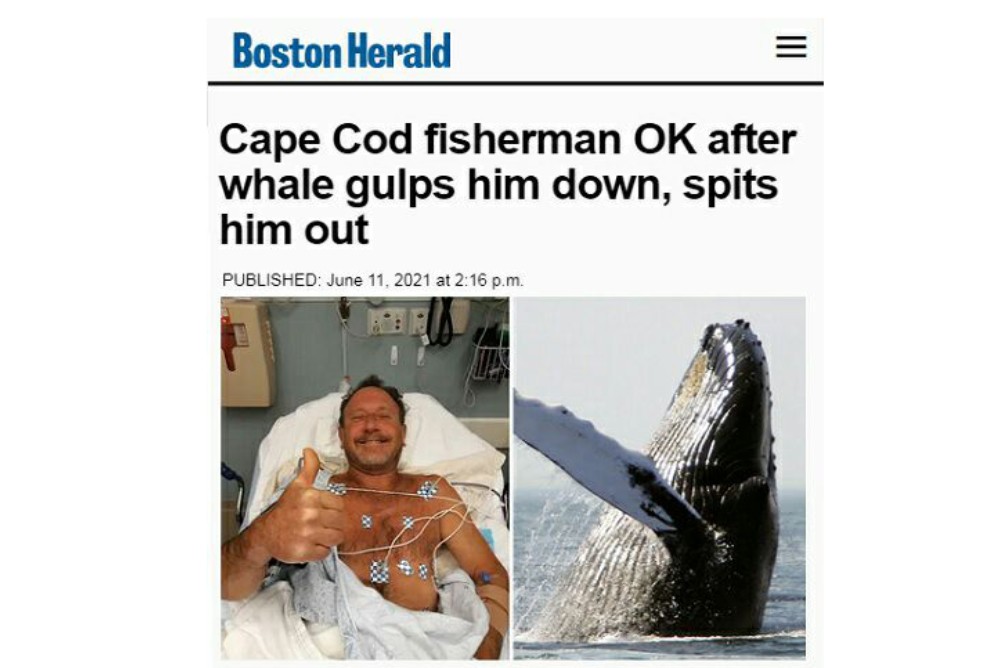 Горбатый кит съел ловца раков, но мужчине удалось выжить