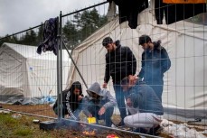 Власти Латвии пытали электрошокером беженцев, которые пытались попасть в ЕС