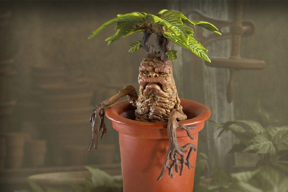 мандрагора плоды. кричащий цветок. мандрагора хогвартс. кричащий цветок. кричащий цветок.