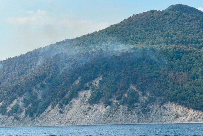 В Геленджике в районе села Криница пожар от падения обломков украинского беспилотника охватил 32 гектара леса