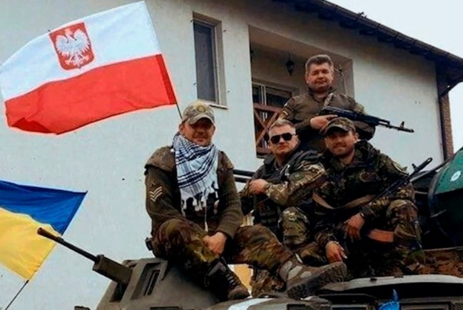 Польские наёмники саботируют приказы ВСУ и не хотят идти в наступление