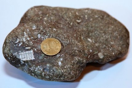 Камень с «микрочипом» возрастом полмиллиарда лет 