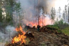 В Якутии лесные пожары продолжают бушевать