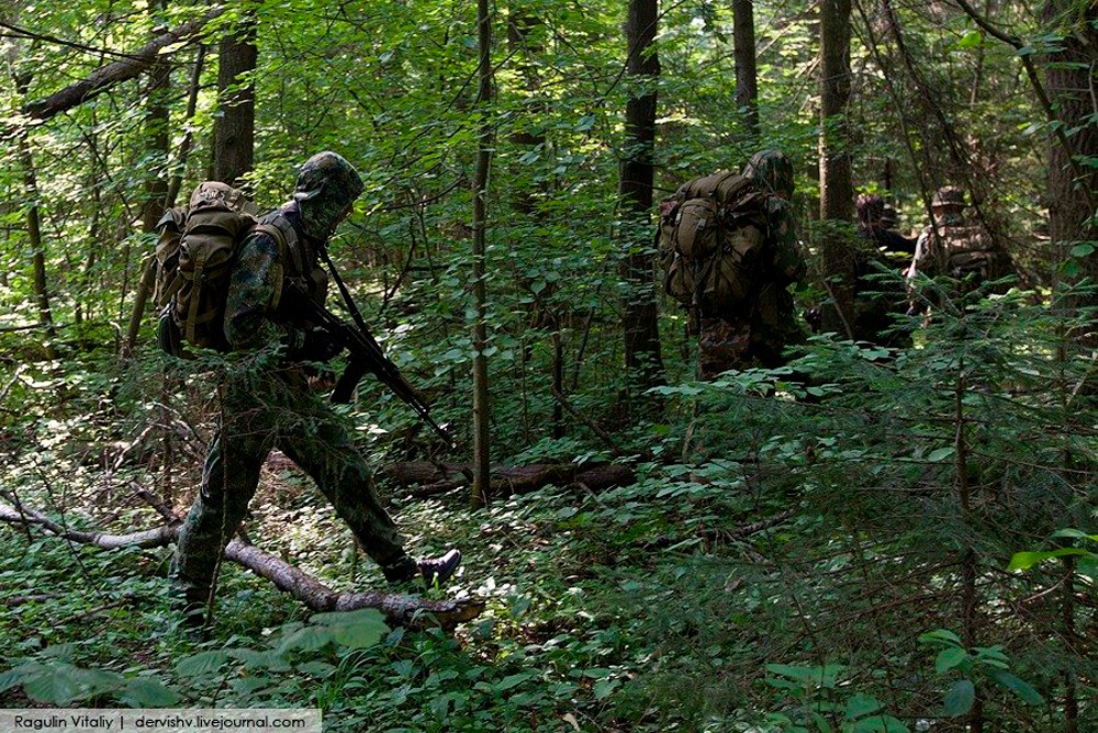 Лес солдата. Военные в лесу. Разведка в лесу. Спецназ в лесу. Военная разведка в лесу.