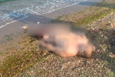 В Одессе на пляже мужчина подорвался на мине на глазах его семьи – жуткое видео