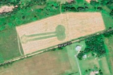 Рисунок в виде огромного фаллоса оставили на поле канадские фермеры острова Принца Эдуарда 