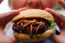 Продукты с добавлением насекомых в России
