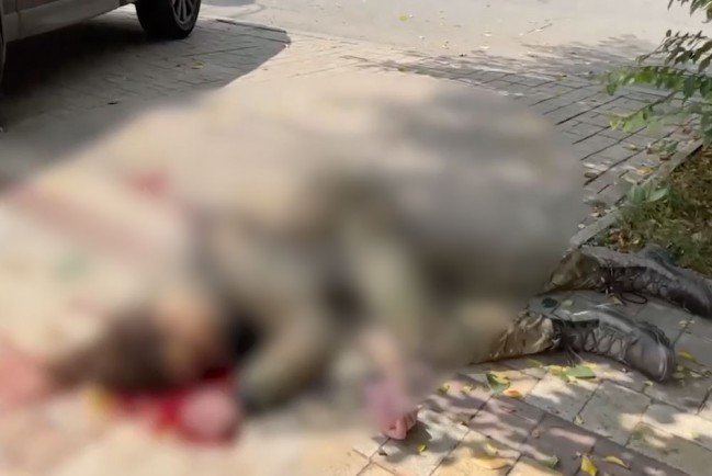 Ад на улицах Донецка: разорванные тела взрослых и ребенка после обстрела украинских нацистов 
