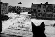 Курильские острова, городок Горное. Вид из квартиры, в которой проживает отставной военный, его жена, двое детей и их котенок