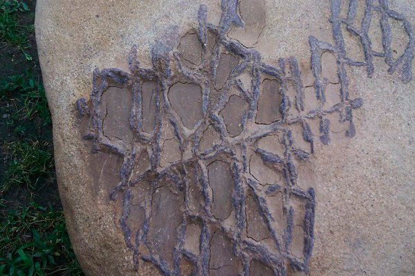 Камень с так называемыми биоглифами возрастом 3500 лет