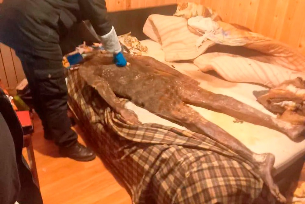 Шокирующая история в Ленинградской области: Многодетная мать 4 года спала с мумией своего мужа