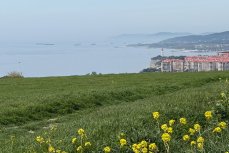 В Геленджике перебои с мобильной связью и интернетом