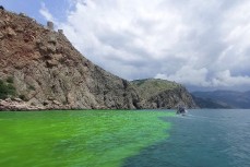 У берегов Балаклавы вода окрасилась в кислотно-зелёный цвет