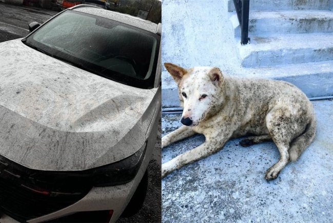 Роспотребнадзор рекомендовал жителям Туапсе ограничить выход на улицу после «нефтяного дождя»