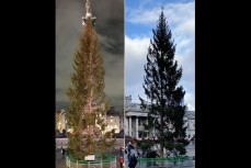 Норвегия подарила Англии ободранную рождественскую ёлку, её установили на Трафальгарской площади.