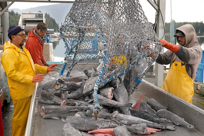 Британские рыбаки лишаются доступа к Баренцевому морю