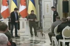 Зеленский наградил медалью собаку, чем порадовал всё правительство