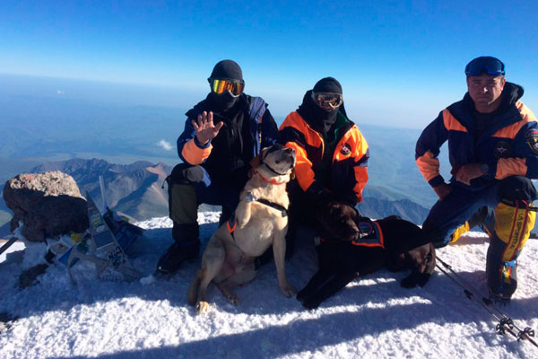 Спасатели МЧС на вершине Эльбруса со своими четвероногими коллегами. 