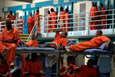 В США заключенных начнут разбирать на органы для пользы обществу
