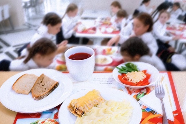 Проблемы с поставками школьного питания в Приморском районе могли возникнуть из-за занижения цен