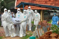 Вспышка смертельно опасного вируса Нипах в Индии