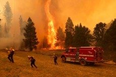 Лесные пожары в Калифорнии: 5 тысяч гектаров дубового леса уничтожено огнём, 6 тысяч жителей эвакуированы