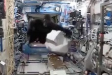 Появившаяся на борту МКС горилла, напугала астронавтов
