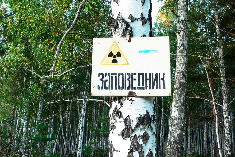 Радиоактивный заповедник - организован в районе кыштымской атомной аварии