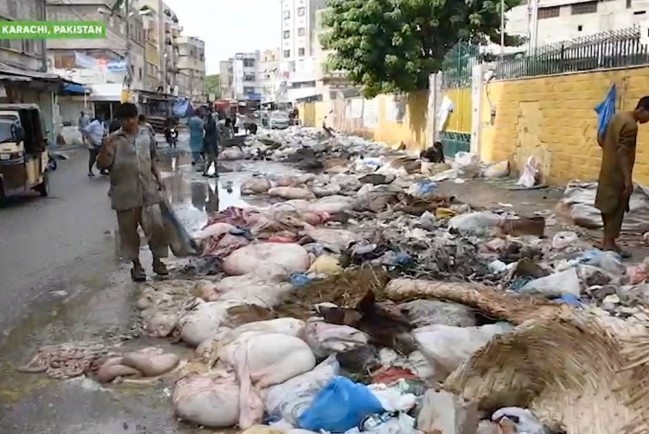 В Карачи (Пакистан) после наводнения забилась канализация, город утонул в нечистотах