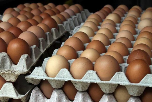 Яйца зараженные сальмонеллезом