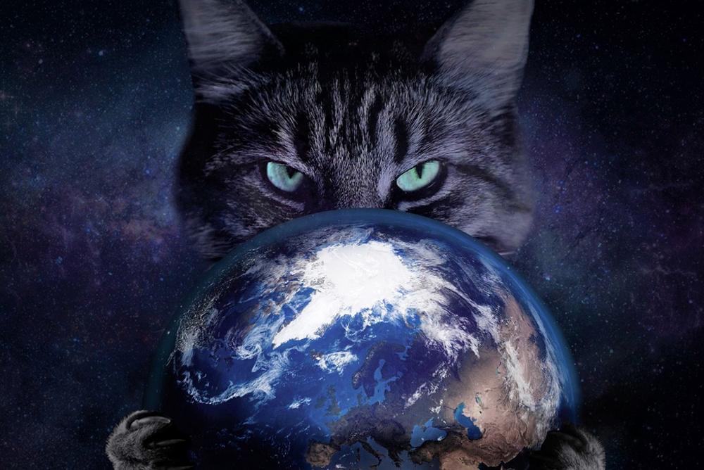 Кошки — пришельцы с других планет: мистические создания с древних времен