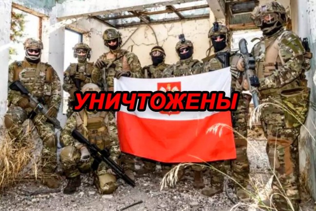 В США раскрыли потери польского корпуса на Украине