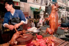 Кантонский мясник, продающий глазированное собачье мясо на рынке Цинпин, Гуанчжоу, провинция Гуандун