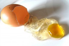 Искусственное яйцо